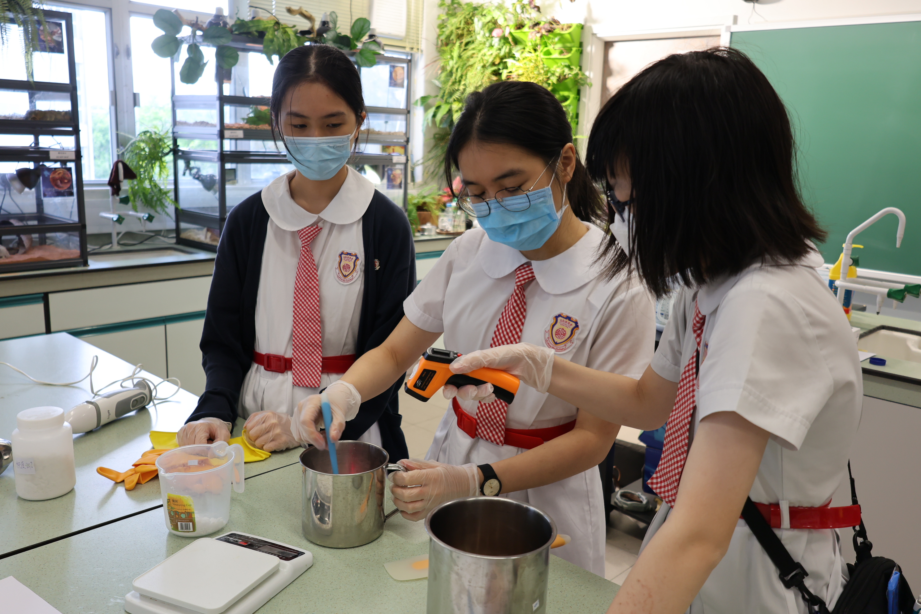 BSFL Handsoap Workshop